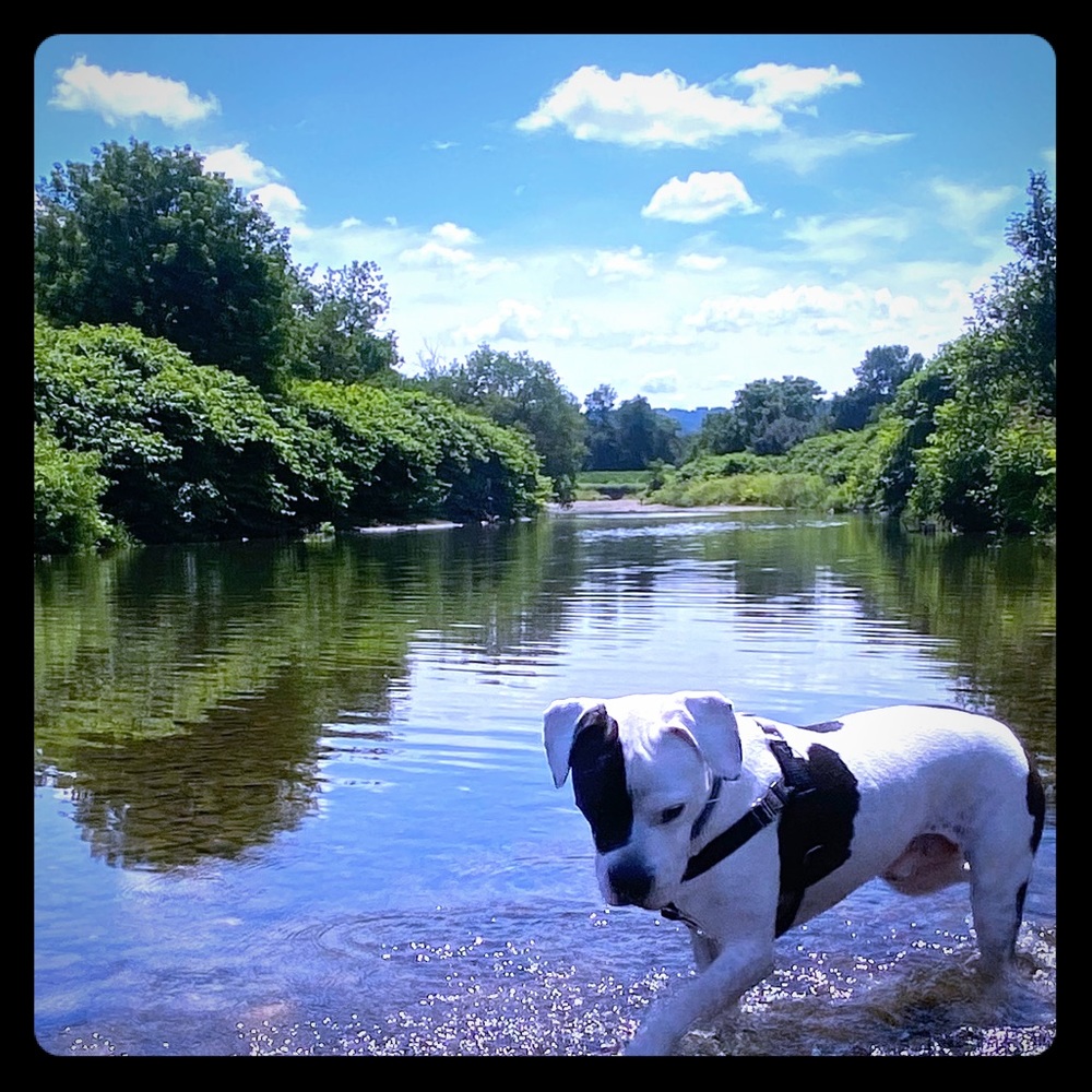 Meet your Posher, Rachel